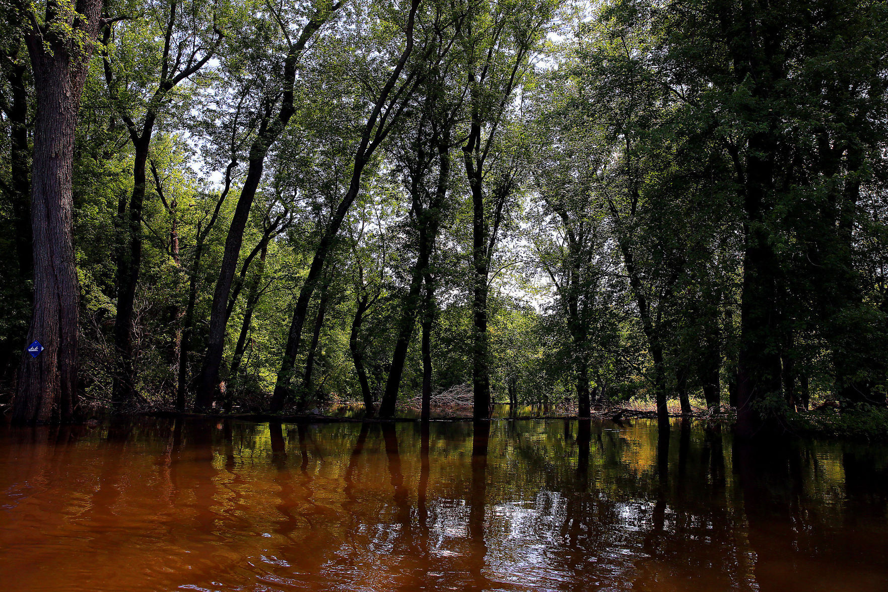 THE GREAT RIVER-0239